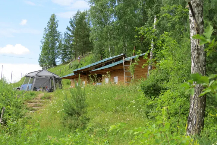 Деревянные постройки среди летней зелени